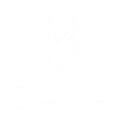 Zoom Navigation